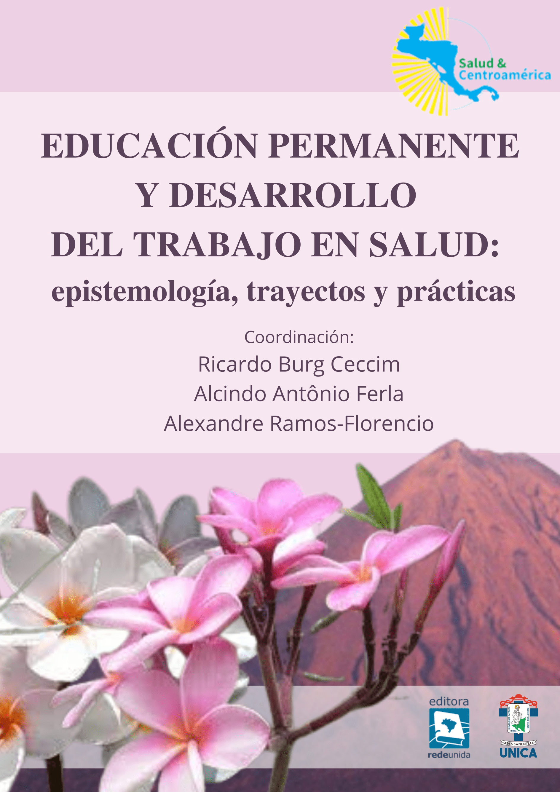 Educación permanente y desarrollo del trabajo en salud: epistemología, trayectos y prácticas